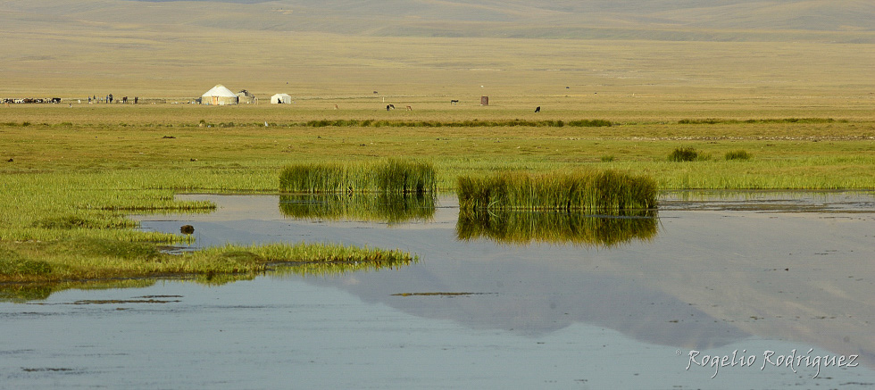 El lago Song Kol es el mayor lago de agua dulce de Kirguistan. Esta a 3.016 m. y pertenece a la cuenca del Río Naryn afluente del Río Sir Daria